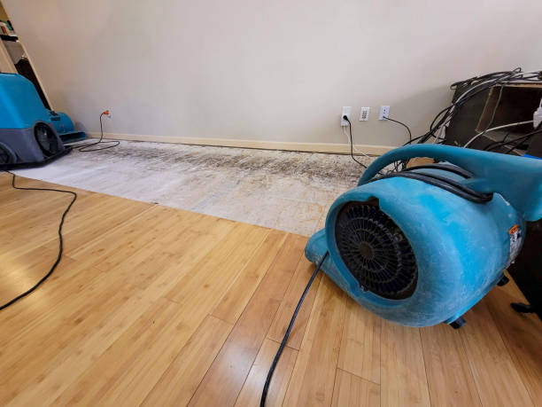 Professional Basement Flood Cleanup technician working in Sultana, CA